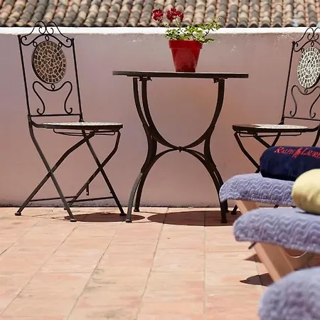 Apartment Old Town With Rooftop Terrace Rdr410 Marbella